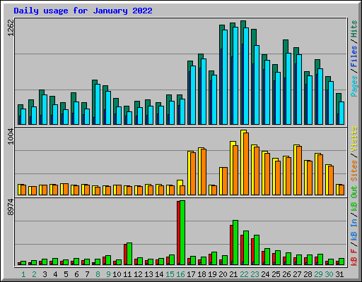Daily usage for January 2022