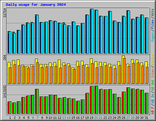 Daily usage for January 2024