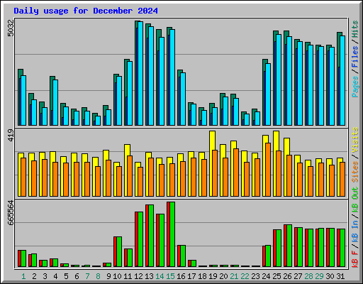 Daily usage for December 2024