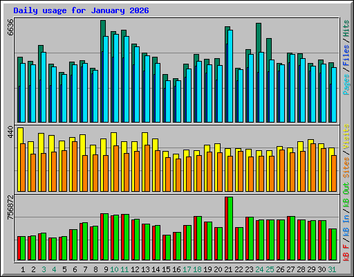 Daily usage for January 2026