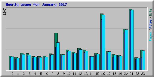 Hourly usage for January 2017