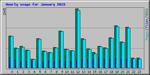Hourly usage for January 2019