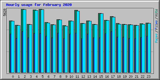 Hourly usage for February 2020