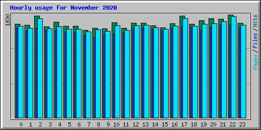 Hourly usage for November 2020