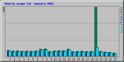 Hourly usage for January 2021