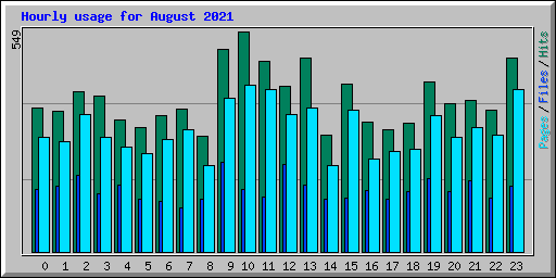 Hourly usage for August 2021