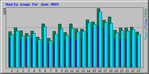 Hourly usage for June 2022