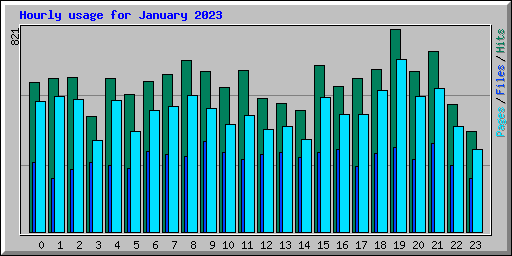 Hourly usage for January 2023