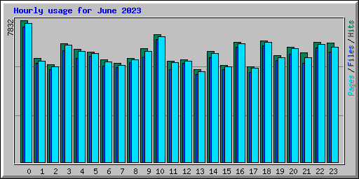 Hourly usage for June 2023