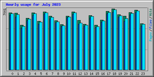 Hourly usage for July 2023