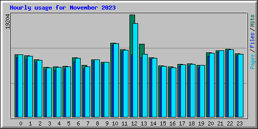 Hourly usage for November 2023