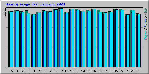 Hourly usage for January 2024