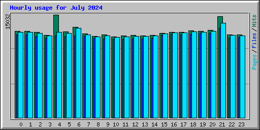 Hourly usage for July 2024