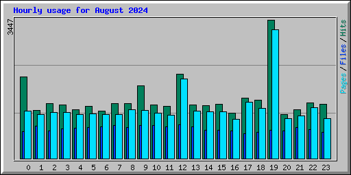 Hourly usage for August 2024