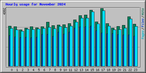 Hourly usage for November 2024