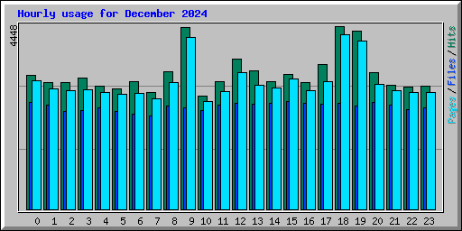 Hourly usage for December 2024