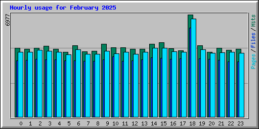 Hourly usage for February 2025