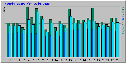 Hourly usage for July 2025