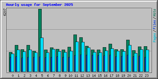 Hourly usage for September 2025