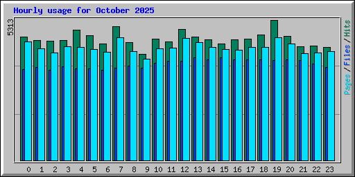 Hourly usage for October 2025