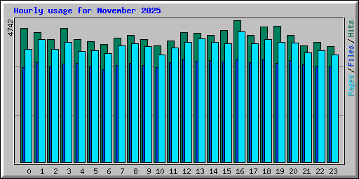 Hourly usage for November 2025