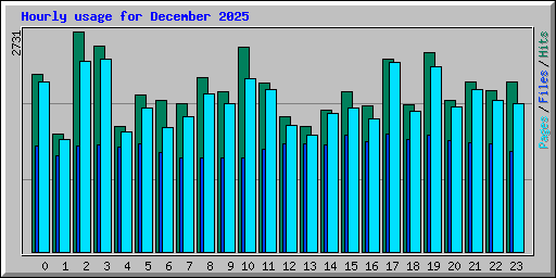 Hourly usage for December 2025