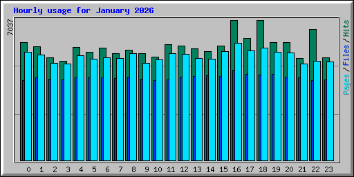 Hourly usage for January 2026