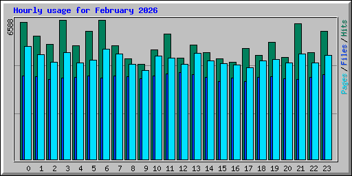 Hourly usage for February 2026