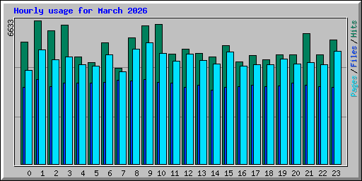Hourly usage for March 2026