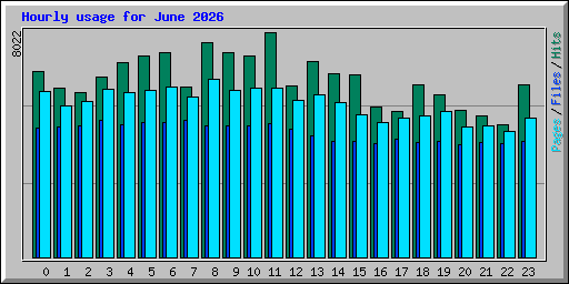 Hourly usage for June 2026