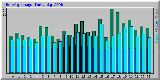 Hourly usage for July 2026
