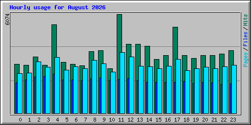 Hourly usage for August 2026